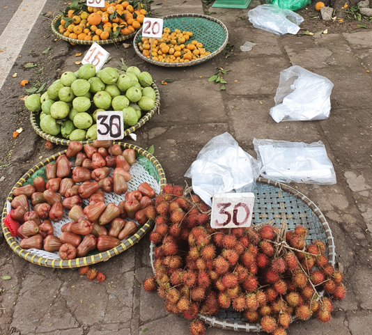 베트남 과일 이름과 맛 가격