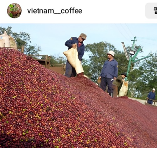 베트남 커피문화와 순위 그리고 카페 종류
